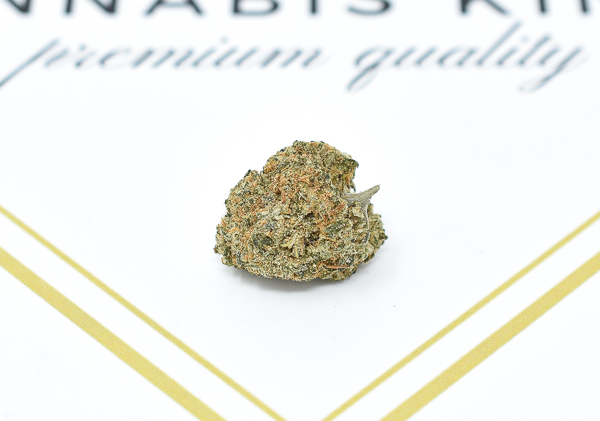Violator Kush