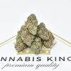 King Tut 2
