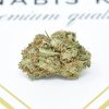 Golden Goat 1
