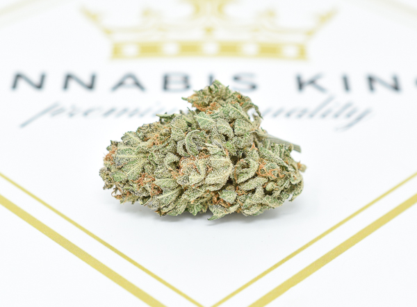 Strain 1