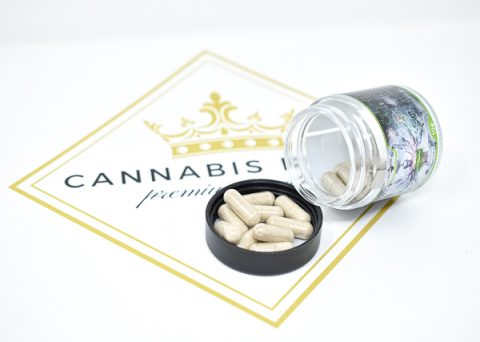 Six6Sense 10 Macromind Doses Psilocybin Capsules