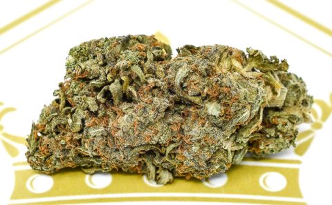 Lindsay Og