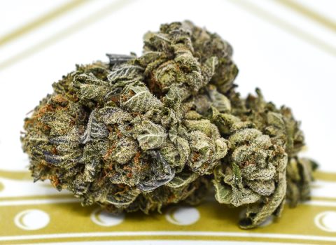 Pure Kush