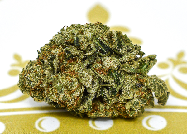 Skywalker Alien Exotic
