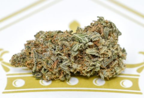 Sour Apple
