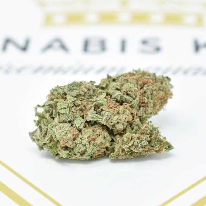 Cream Caramel strain 1