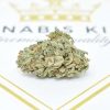 Strain 1 compressed
