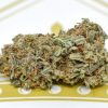 Sour Apple 1