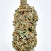 Sour Apple 3